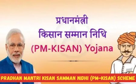PM-KISAN योजना – Eligibility, Documents, Apply, E-KYC, Status, Bank Update, DBT (2026 पूरी जानकरी हिंदी मैं यहाँ देखे )