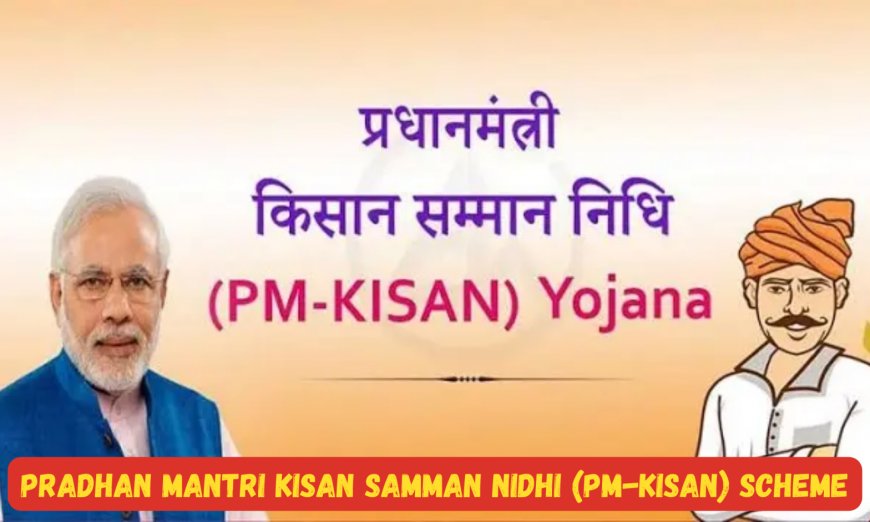 PM-KISAN योजना – Eligibility, Documents, Apply, E-KYC, Status, Bank Update, DBT (2026 पूरी जानकरी हिंदी मैं यहाँ देखे )